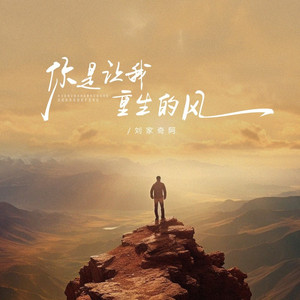 你是让我重生的风 (哪吒版)