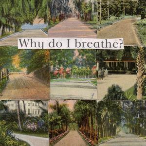 what2do?