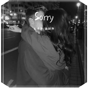JustinBieber-Sorry（太平阳 / 孤新阳 remix）