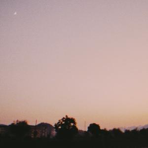 早开的晚霞