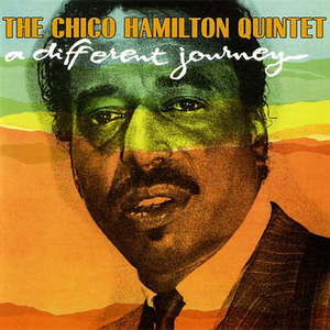 A Voice In The Night