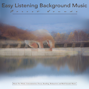 Concentration Music for Work