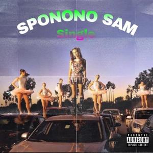 Sponono sam (feat. Otsile012, Mk de vocal & Muziqal Mjay) (Radio Edit)