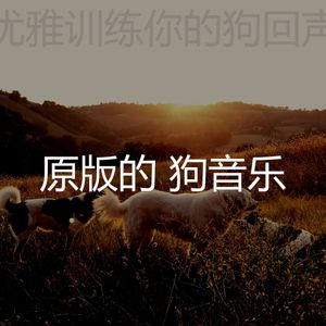 一尘不染小狗印象数