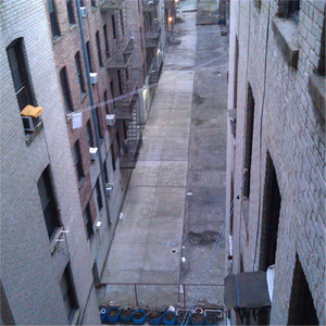 Nocturnal Transition(Raw Mix)