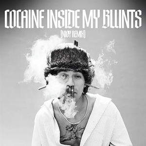 Cocaine Inside My Blunts (NJOY Flip)