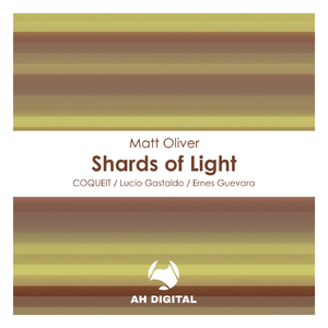 Shards of Light (Ernes Guevara Remix)