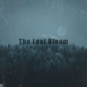 最后的盛开(THE LAST BLOOM)