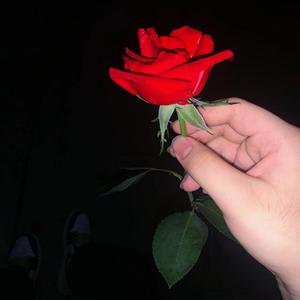 日日月月不懂的随笔demo