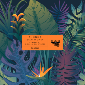 Reflective Mouse (Shosho Remix)