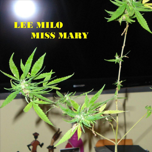 Miss Mary