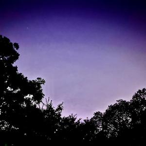 No. Forty-five Middle School