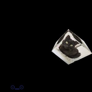 锅底黑死了