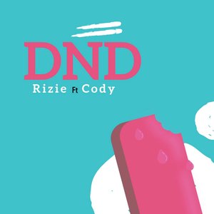 D.N.D.