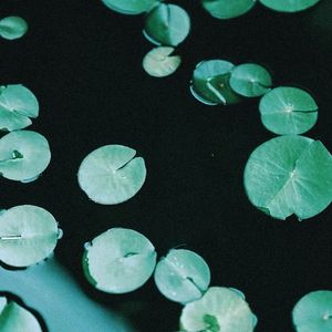 [Not Free] "Green paper" Chinese-style Trap Beat