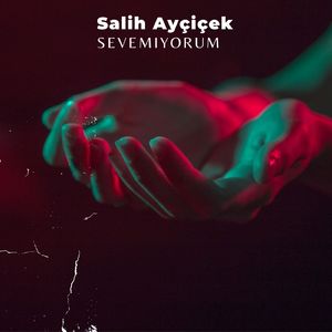 Sevemiyorum