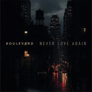Never Love Again