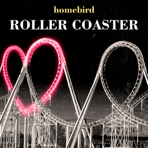 Roller Coaster