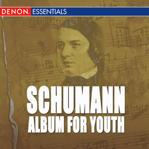 Album for Youth, Op. 68: No. 6. Armes Waisenkind