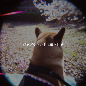 Excellent Ambiance for Mellow Dogs