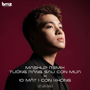 Mashup Tưởng Rằng Sau Cơn Mưa / 10 Mất 1 Còn Không (Remix)