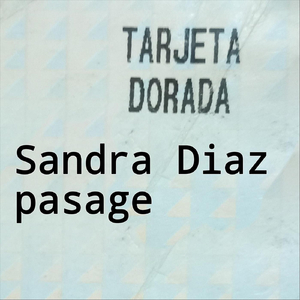 Pasage