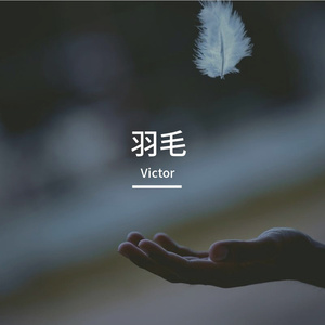 羽毛 Part Ⅱ