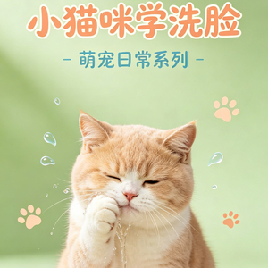 小猫咪学洗脸.wav