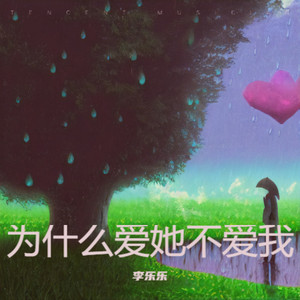 为什么爱她不爱我 (DJ默涵版)