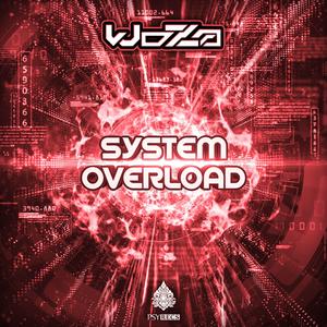System Overload