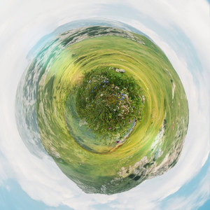 草原を抜けて -始まりの場所-