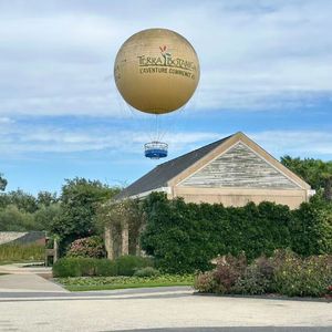 今年，我也会想你