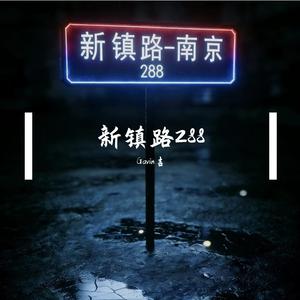 新镇路288