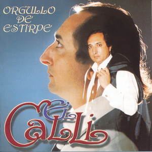 Los Pensamientos Míos