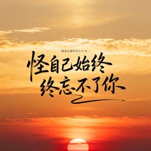 怪自己始终忘不了你