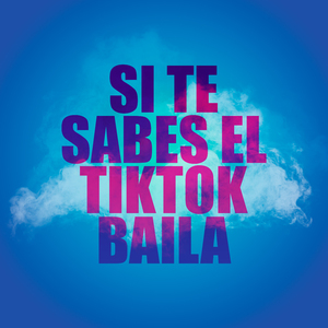 Si Te Sabes El TikTok Baila 14