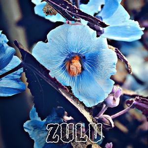 Zulu