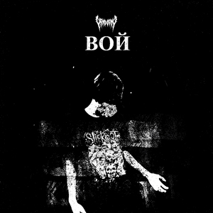ВОЙ