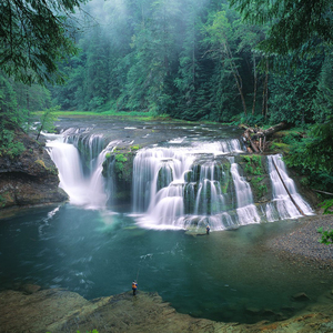 不要因为孤独就去迎合不属于自己的群体