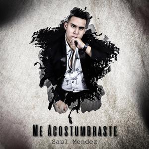 Me Acostumbraste