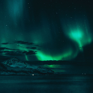 Theoden King (From "Lord of the Rings: The Two Towers")