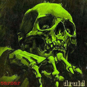 Druid