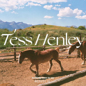 Nothing More to Say (Acoustic)