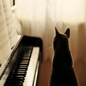 拥抱忘了吗 (优美旋律)