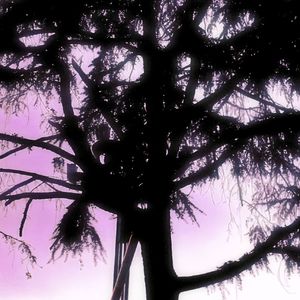 Hide and Seek (Cover.ZIV&大籽)