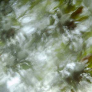 FDFFFFFFFFFFFFFFFFFFFFFFFDDDDDDSEFDSJEGGGHSDFIJT4RGUFDUHSGREGUIFDHSIGRHUHSDHUFGHEHRFHUCDSAEUGFASEFé!éééé!