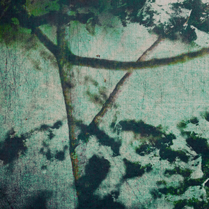 Rorschach (feat. Flo State)