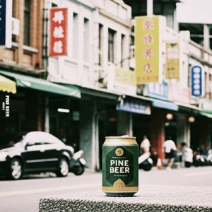 Pine Beer