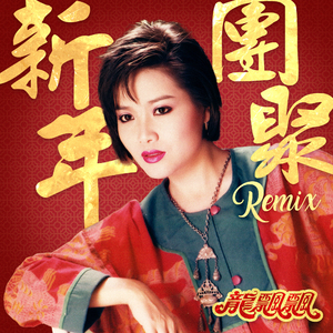 新年团聚 (慢摇 DJ Remix)