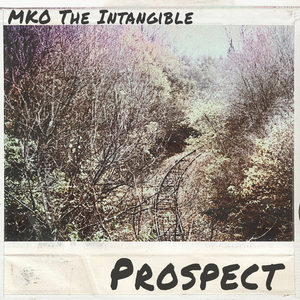 Prospect